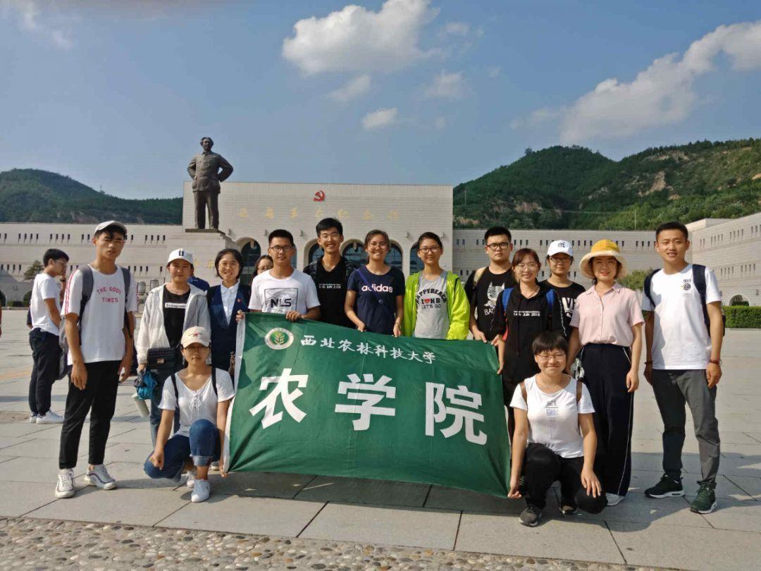成都蓝牌货车什么时候可以出城？游戏画面